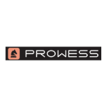 Prowess Consulting